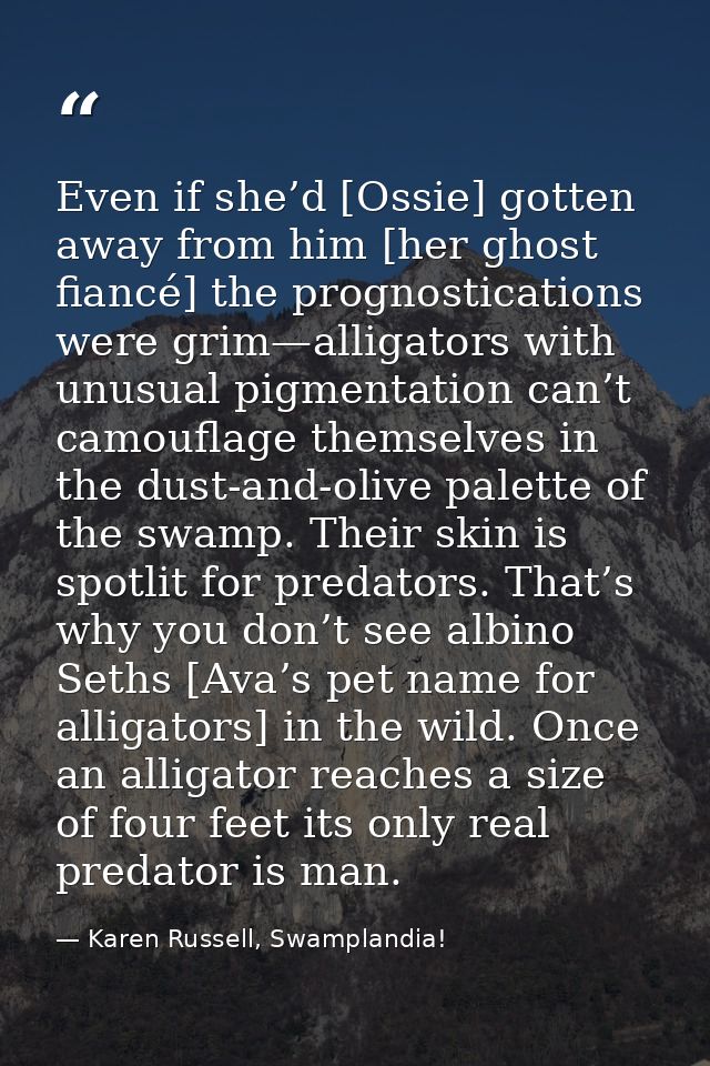 Even if she’d [Ossie] gotten away from him [her ghost fiancé] the prognostications were grim—alligators with unusual pig — Karen Russell, Swamplandia!