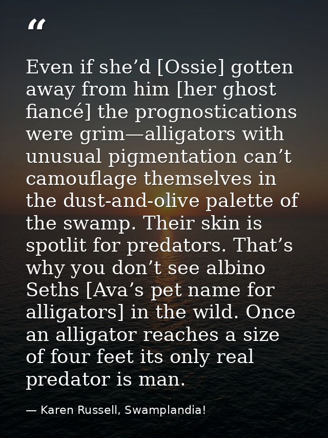 Even if she’d [Ossie] gotten away from him [her ghost fiancé] the prognostications were grim—alligators with unusual pig — Karen Russell, Swamplandia!