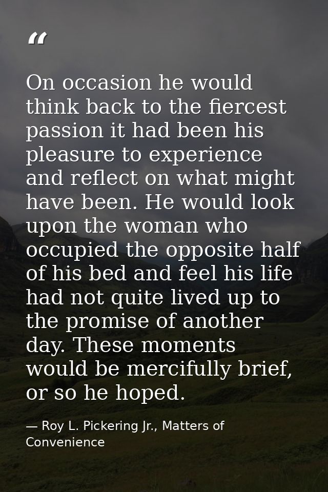 On occasion he would think back to the fiercest passion it had been his pleasure to experience and reflect on what might — Roy L. Pickering Jr., Matters of Convenience