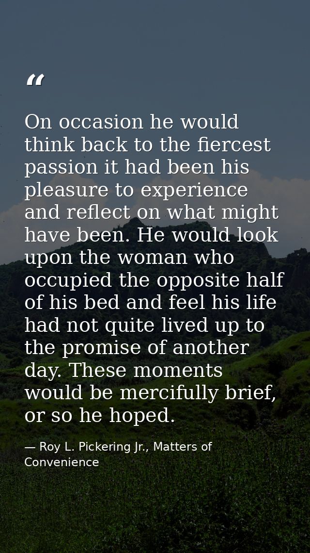 On occasion he would think back to the fiercest passion it had been his pleasure to experience and reflect on what might — Roy L. Pickering Jr., Matters of Convenience