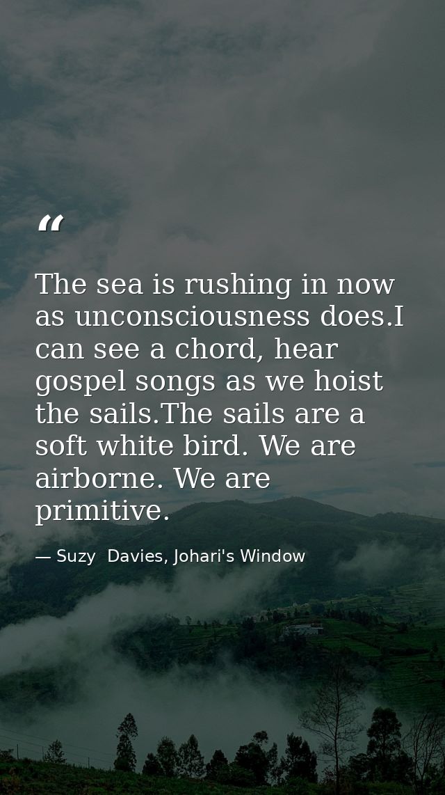 The sea is rushing in now as unconsciousness does.I can see a chord, hear gospel songs as we hoist the sails.The sails a — Suzy  Davies, Johari's Window