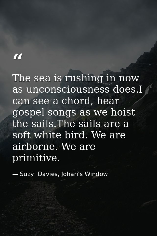 The sea is rushing in now as unconsciousness does.I can see a chord, hear gospel songs as we hoist the sails.The sails a — Suzy  Davies, Johari's Window