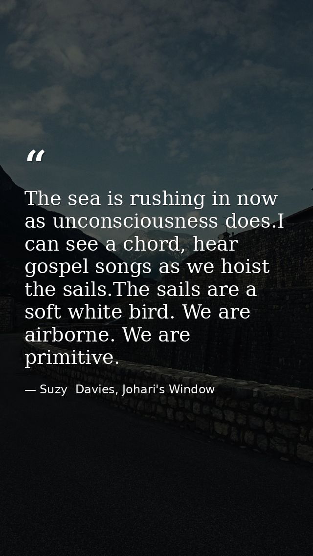 The sea is rushing in now as unconsciousness does.I can see a chord, hear gospel songs as we hoist the sails.The sails a — Suzy  Davies, Johari's Window