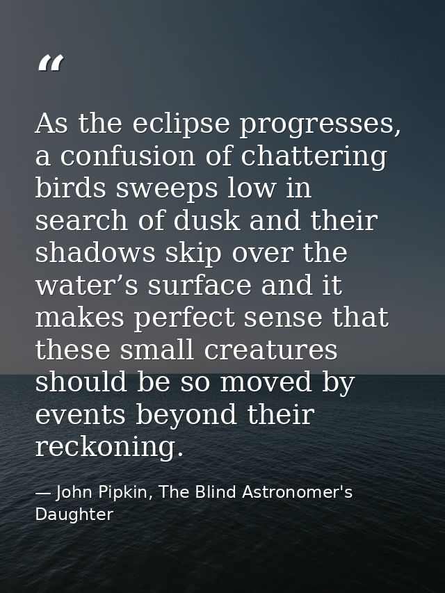 As the eclipse progresses, a confusion of chattering birds sweeps low in search of dusk and their shadows skip over the  — John Pipkin, The Blind Astronomer's Daughter