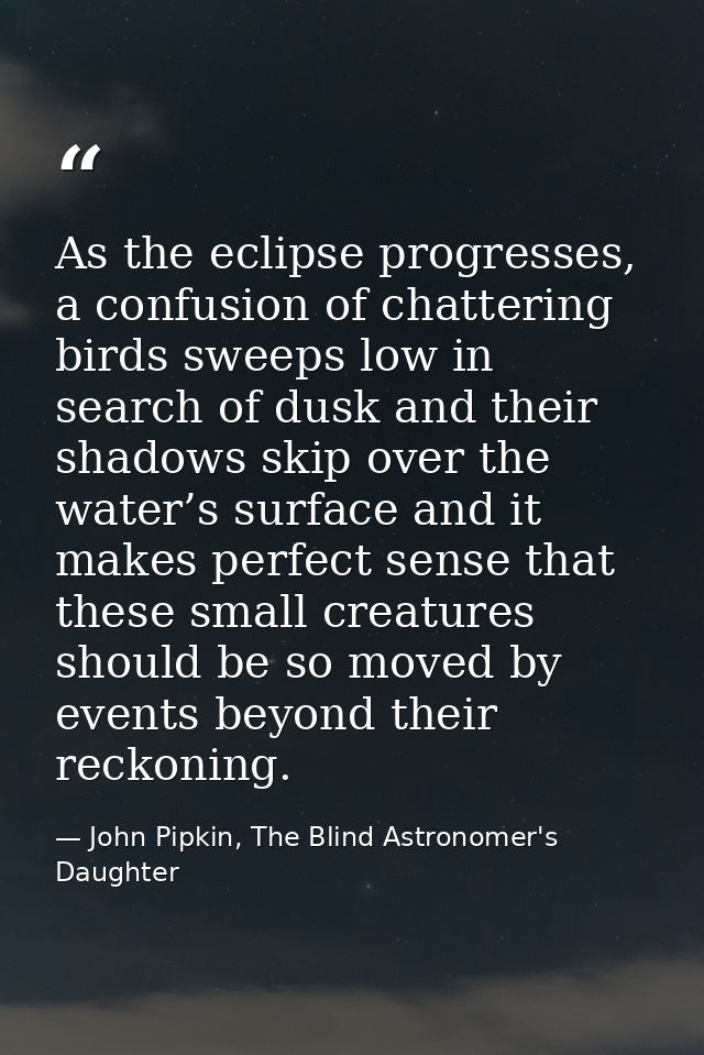 As the eclipse progresses, a confusion of chattering birds sweeps low in search of dusk and their shadows skip over the  — John Pipkin, The Blind Astronomer's Daughter