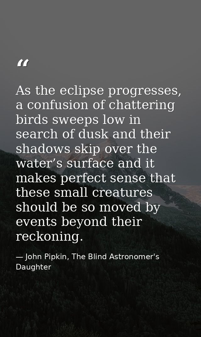 As the eclipse progresses, a confusion of chattering birds sweeps low in search of dusk and their shadows skip over the  — John Pipkin, The Blind Astronomer's Daughter