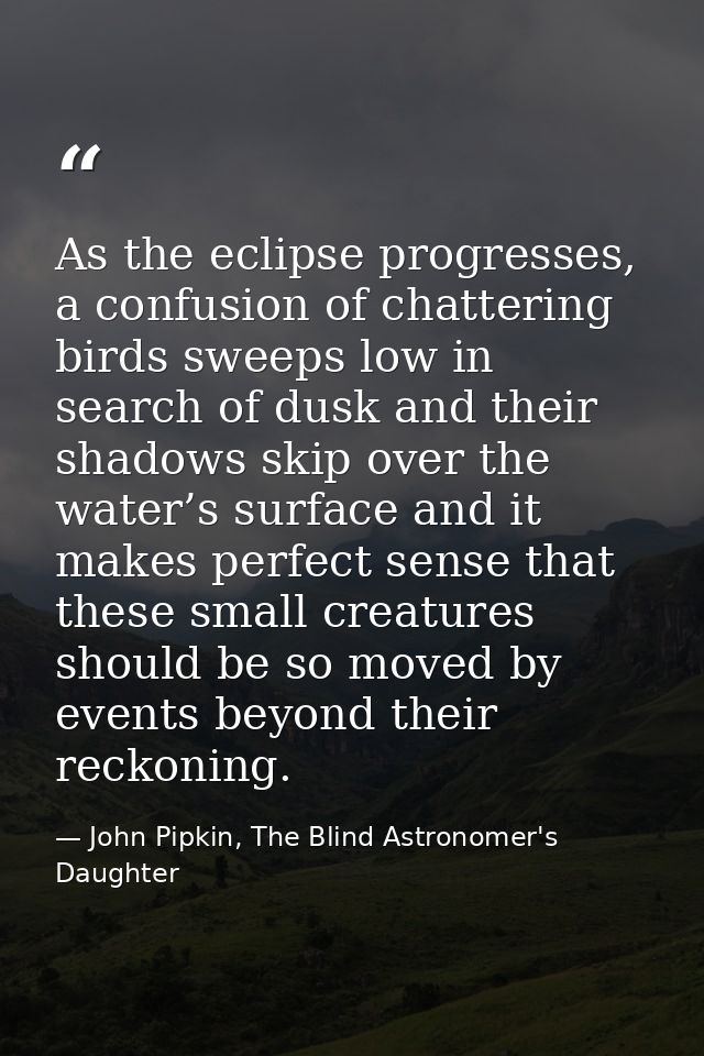 As the eclipse progresses, a confusion of chattering birds sweeps low in search of dusk and their shadows skip over the  — John Pipkin, The Blind Astronomer's Daughter