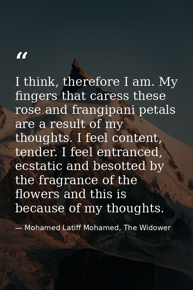 I think, therefore I am. My fingers that caress these rose and frangipani petals are a result of my thoughts. I feel con — Mohamed Latiff Mohamed, The Widower