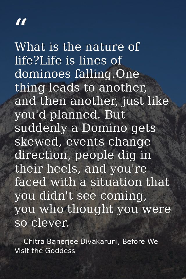 What is the nature of life?Life is lines of dominoes falling.One thing leads to another, and then another, just like you — Chitra Banerjee Divakaruni, Before We Visit the Goddess
