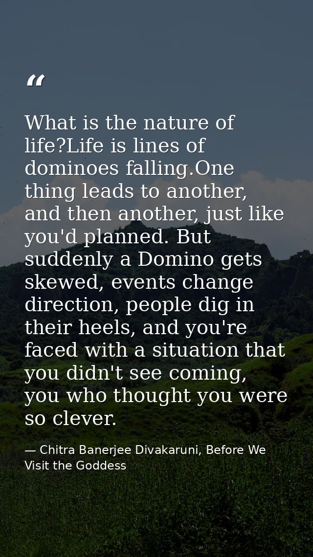 What is the nature of life?Life is lines of dominoes falling.One thing leads to another, and then another, just like you — Chitra Banerjee Divakaruni, Before We Visit the Goddess