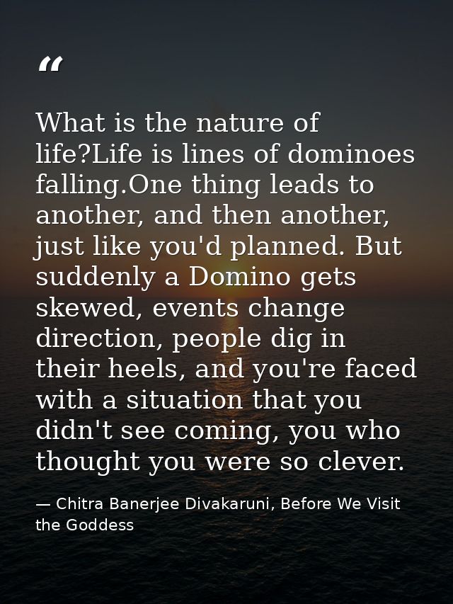 What is the nature of life?Life is lines of dominoes falling.One thing leads to another, and then another, just like you — Chitra Banerjee Divakaruni, Before We Visit the Goddess