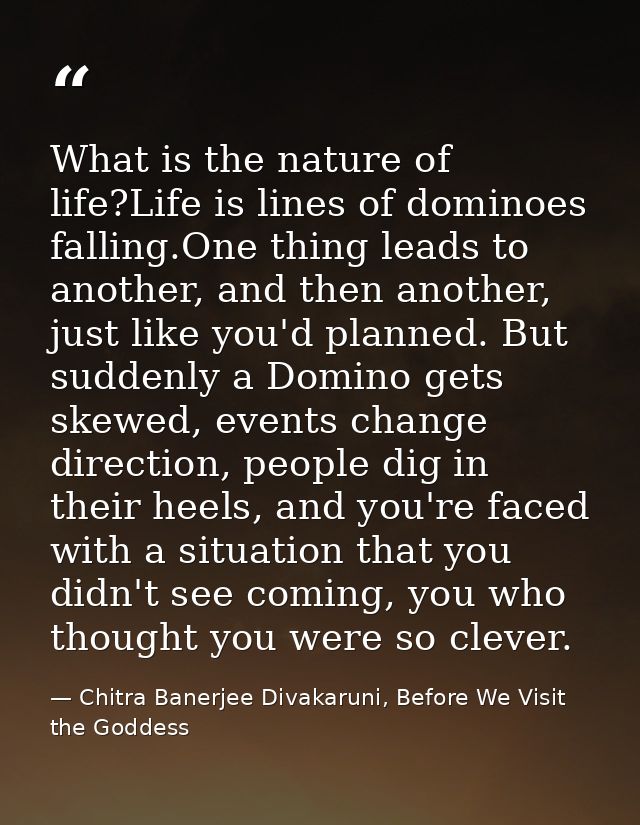 What is the nature of life?Life is lines of dominoes falling.One thing leads to another, and then another, just like you — Chitra Banerjee Divakaruni, Before We Visit the Goddess