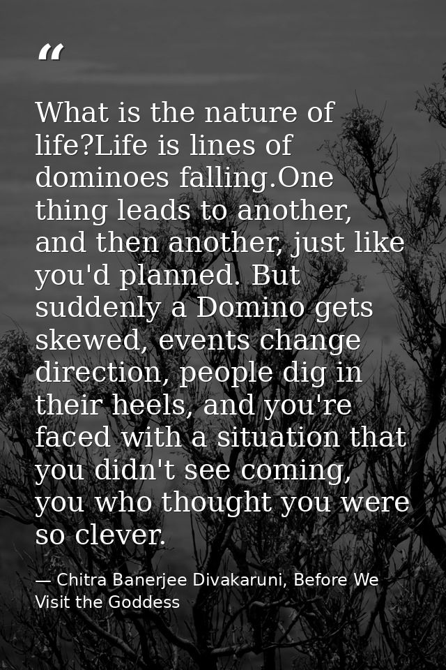 What is the nature of life?Life is lines of dominoes falling.One thing leads to another, and then another, just like you — Chitra Banerjee Divakaruni, Before We Visit the Goddess