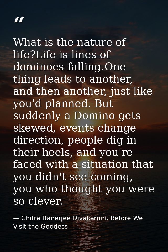 What is the nature of life?Life is lines of dominoes falling.One thing leads to another, and then another, just like you — Chitra Banerjee Divakaruni, Before We Visit the Goddess