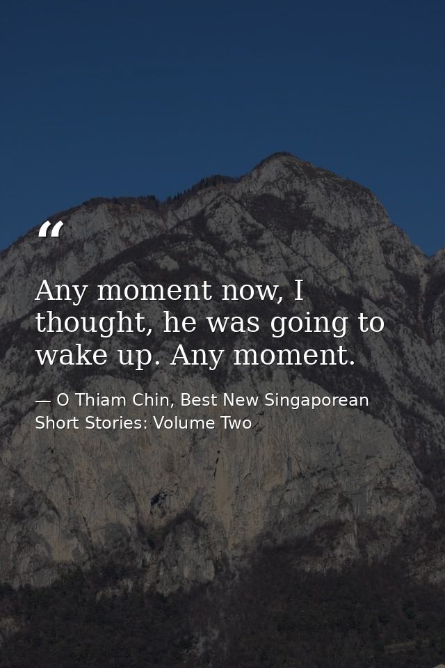 Any moment now, I thought, he was going to wake up. Any moment. — O Thiam Chin, Best New Singaporean Short Stories: Volume Two