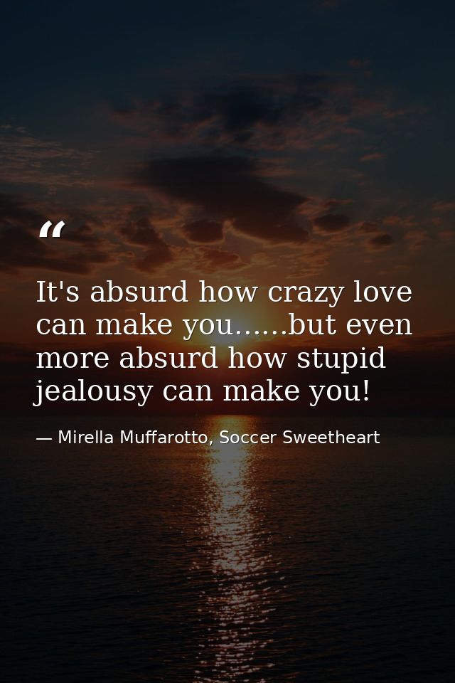 It's absurd how crazy love can make you......but even more absurd how stupid jealousy can make you! — Mirella Muffarotto, Soccer Sweetheart