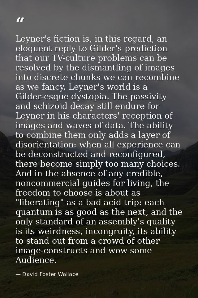 Leyner's fiction is, in this regard, an eloquent reply to Gilder's prediction that our TV-culture problems can be resolv — David Foster Wallace