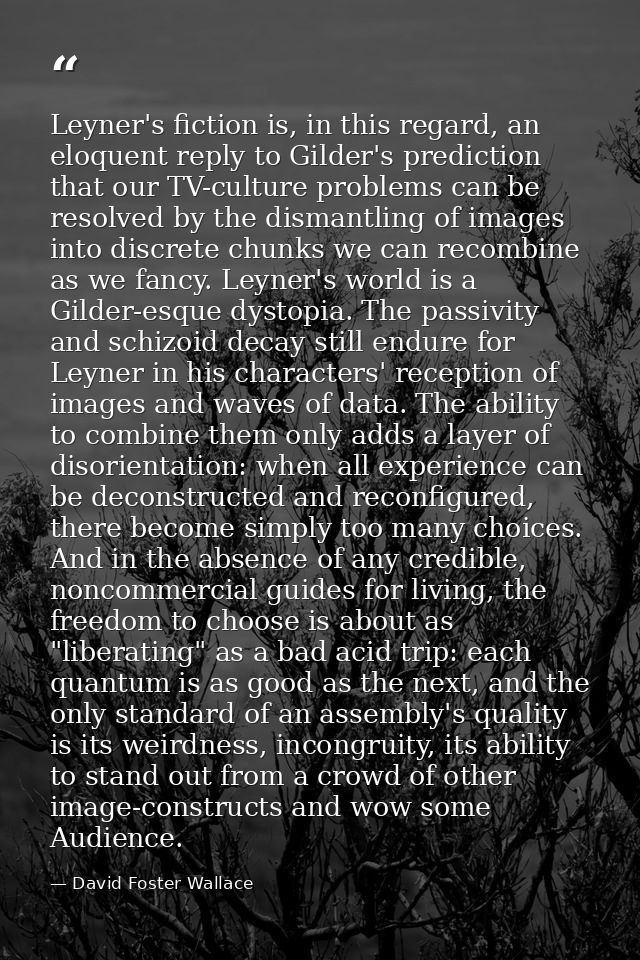 Leyner's fiction is, in this regard, an eloquent reply to Gilder's prediction that our TV-culture problems can be resolv — David Foster Wallace