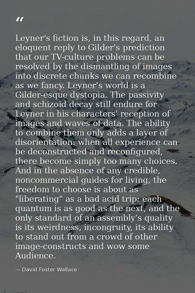 Leyner's fiction is, in this regard, an eloquent reply to Gilder's prediction that our TV-culture problems can be resolv — David Foster Wallace