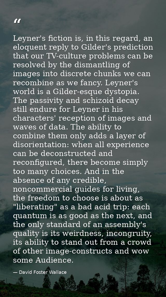Leyner's fiction is, in this regard, an eloquent reply to Gilder's prediction that our TV-culture problems can be resolv — David Foster Wallace