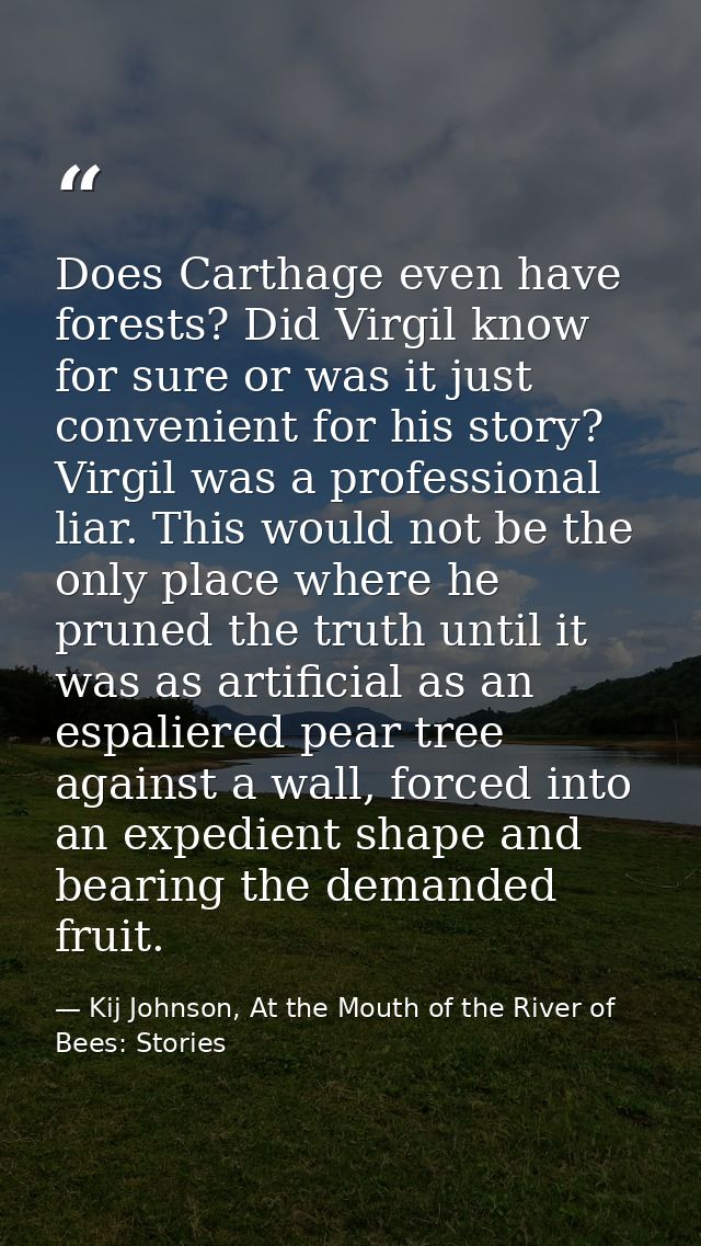 Does Carthage even have forests? Did Virgil know for sure or was it just convenient for his story? Virgil was a professi — Kij Johnson, At the Mouth of the River of Bees: Stories