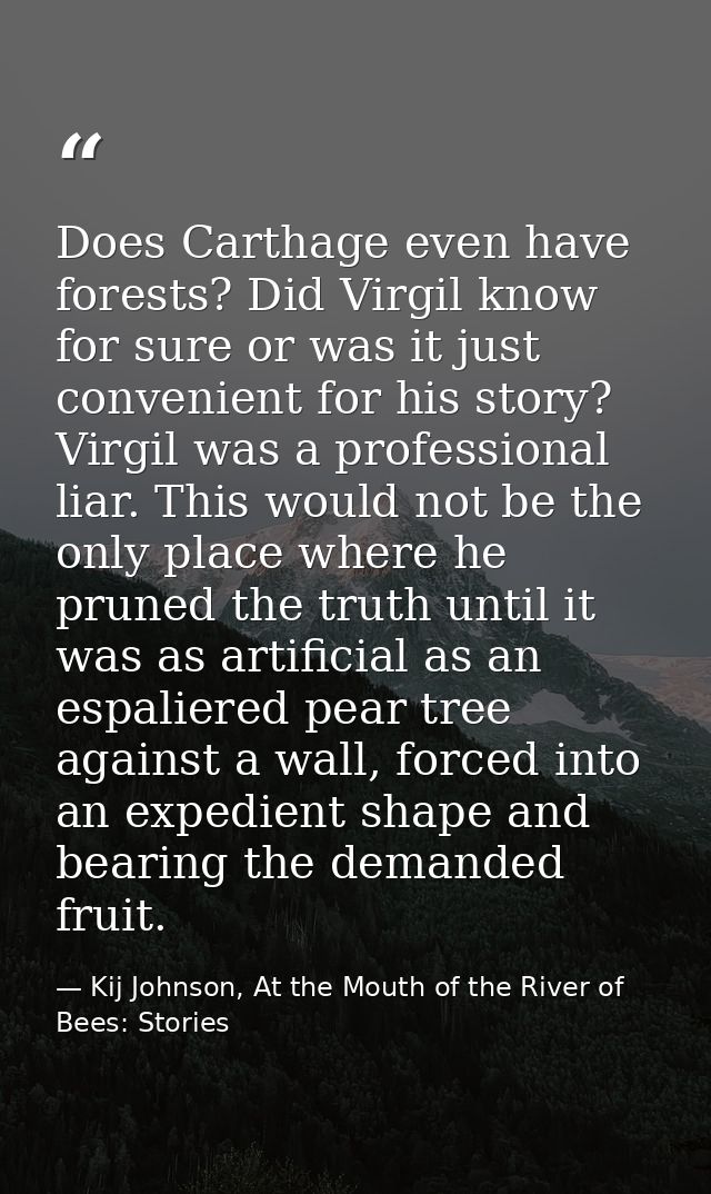 Does Carthage even have forests? Did Virgil know for sure or was it just convenient for his story? Virgil was a professi — Kij Johnson, At the Mouth of the River of Bees: Stories