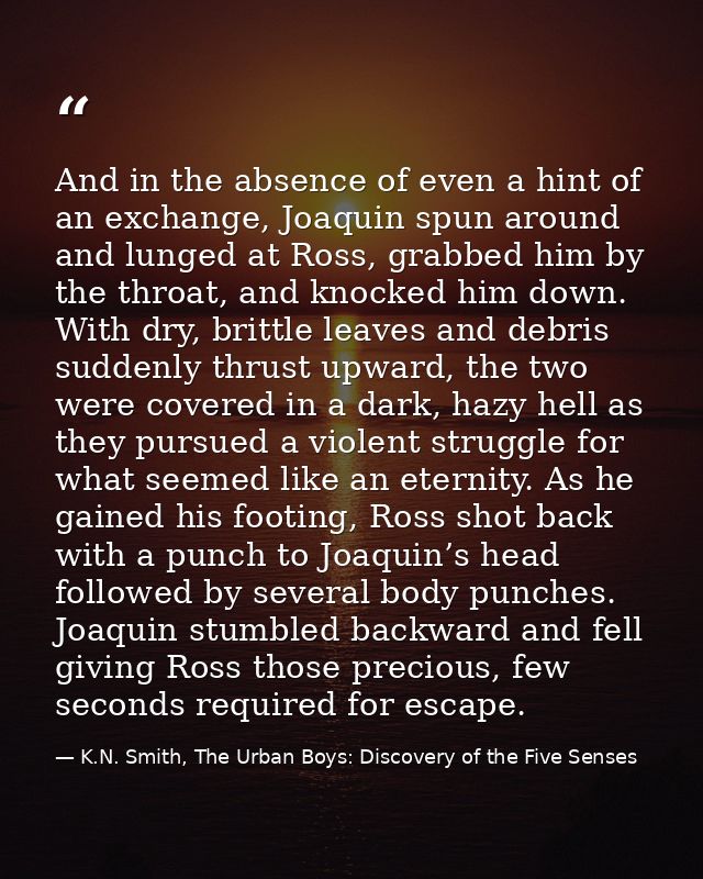 And in the absence of even a hint of an exchange, Joaquin spun around and lunged at Ross, grabbed him by the throat, and — K.N. Smith, The Urban Boys: Discovery of the Five Senses