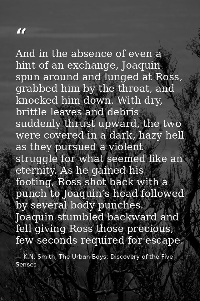 And in the absence of even a hint of an exchange, Joaquin spun around and lunged at Ross, grabbed him by the throat, and — K.N. Smith, The Urban Boys: Discovery of the Five Senses