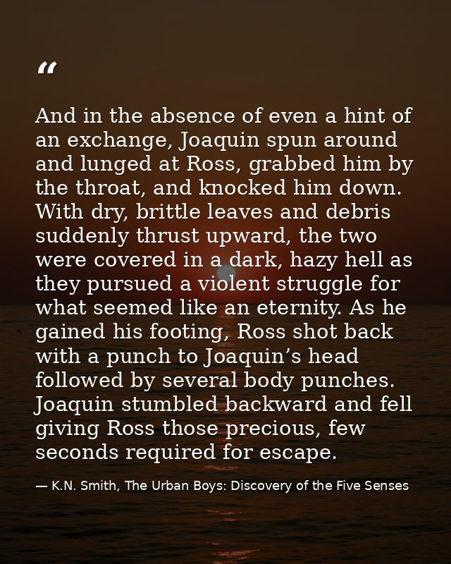 And in the absence of even a hint of an exchange, Joaquin spun around and lunged at Ross, grabbed him by the throat, and — K.N. Smith, The Urban Boys: Discovery of the Five Senses