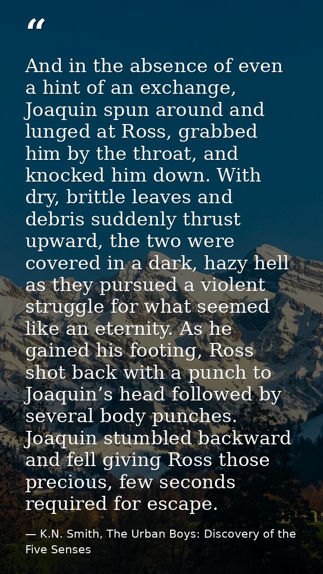 And in the absence of even a hint of an exchange, Joaquin spun around and lunged at Ross, grabbed him by the throat, and — K.N. Smith, The Urban Boys: Discovery of the Five Senses