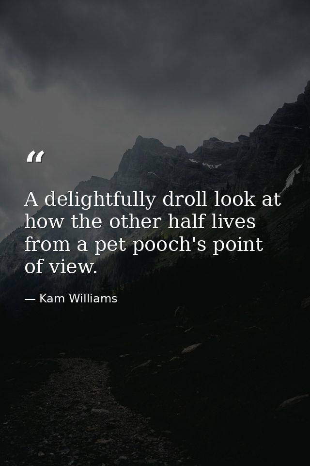 A delightfully droll look at how the other half lives from a pet pooch's point of view. — Kam Williams