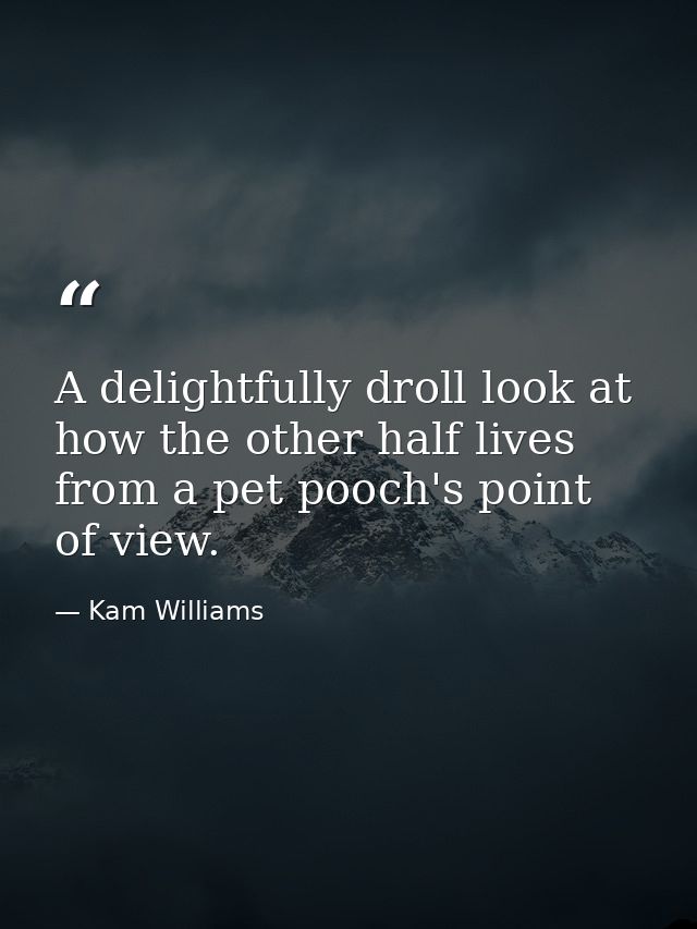 A delightfully droll look at how the other half lives from a pet pooch's point of view. — Kam Williams