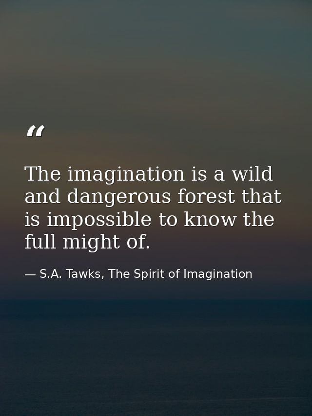 The imagination is a wild and dangerous forest that is impossible to know the full might of. — S.A. Tawks, The Spirit of Imagination