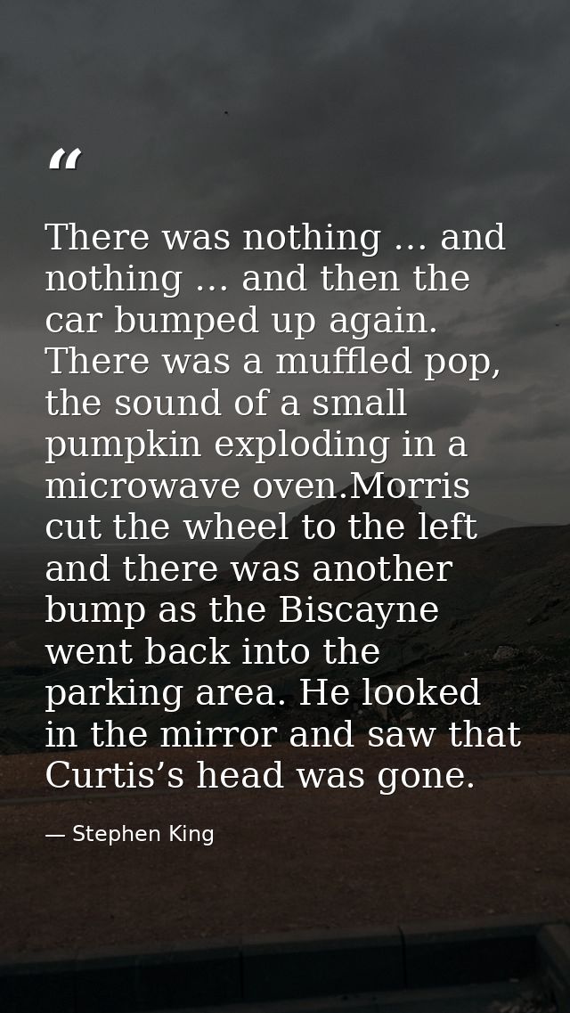 There was nothing … and nothing … and then the car bumped up again. There was a muffled pop, the sound of a small pumpki — Stephen King