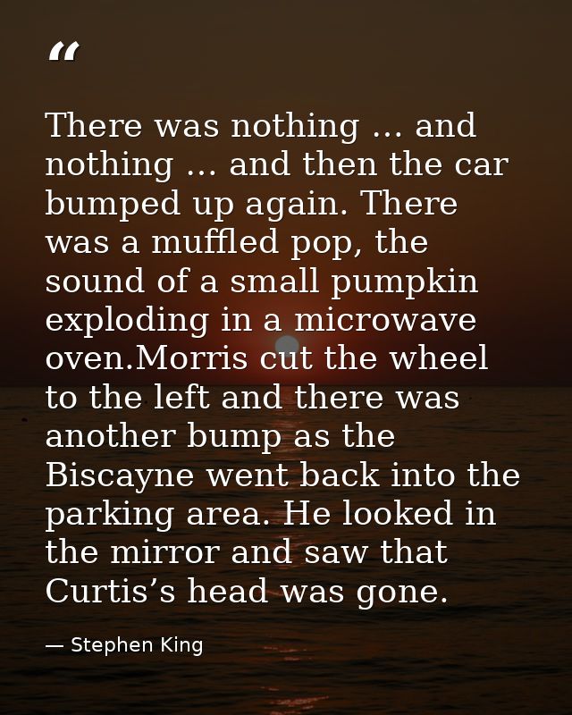 There was nothing … and nothing … and then the car bumped up again. There was a muffled pop, the sound of a small pumpki — Stephen King
