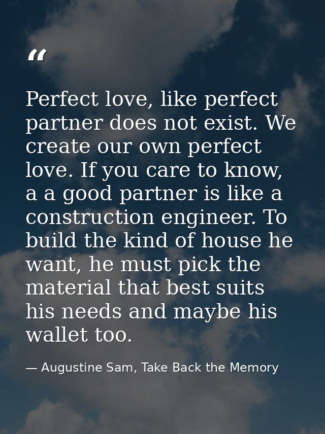 Perfect love, like perfect partner does not exist. We create our own perfect love. If you care to know, a a good partner — Augustine Sam, Take Back the Memory
