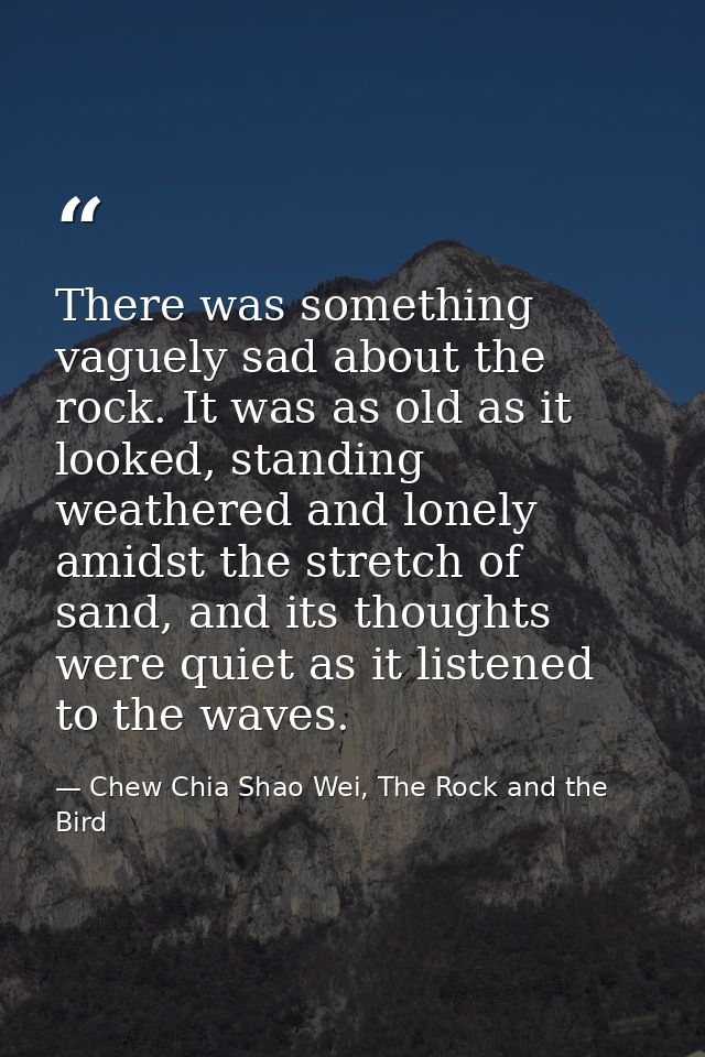 There was something vaguely sad about the rock. It was as old as it looked, standing weathered and lonely amidst the str — Chew Chia Shao Wei, The Rock and the Bird