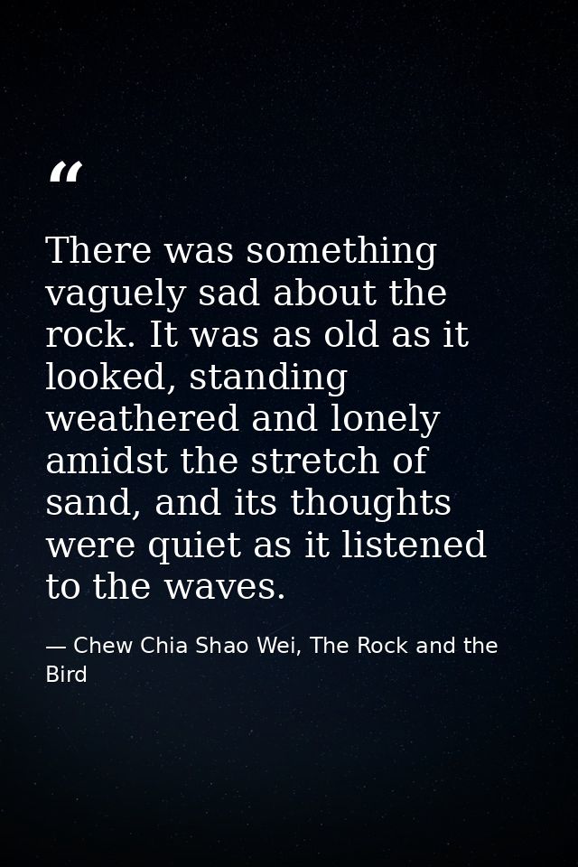 There was something vaguely sad about the rock. It was as old as it looked, standing weathered and lonely amidst the str — Chew Chia Shao Wei, The Rock and the Bird