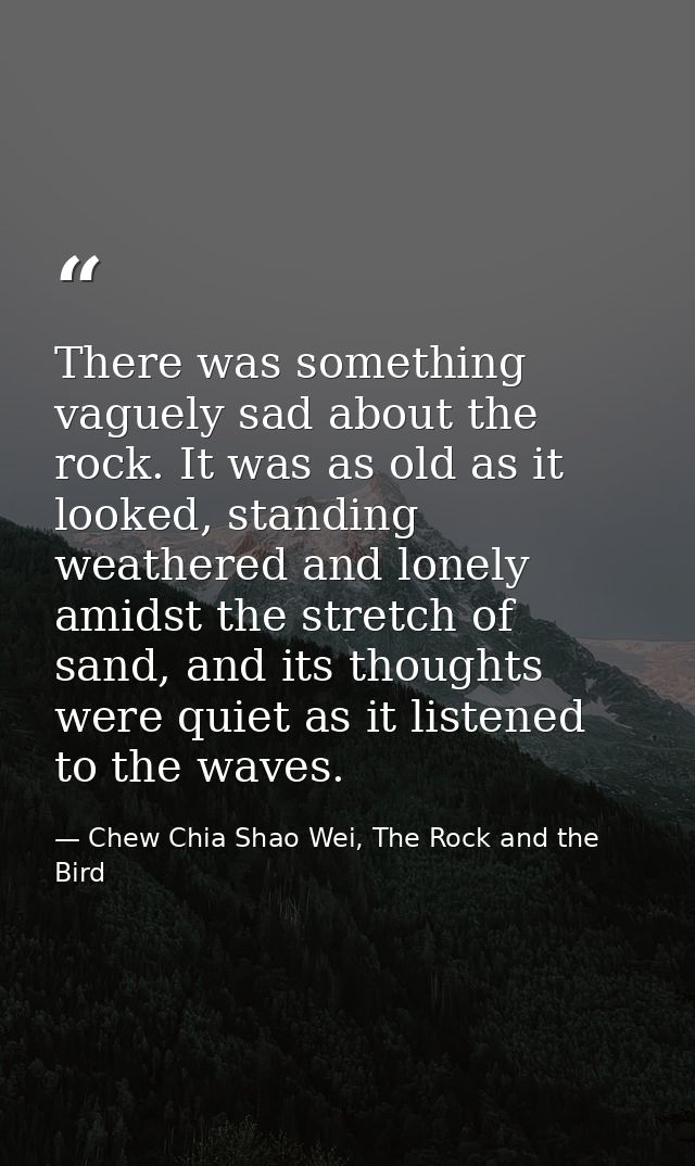 There was something vaguely sad about the rock. It was as old as it looked, standing weathered and lonely amidst the str — Chew Chia Shao Wei, The Rock and the Bird