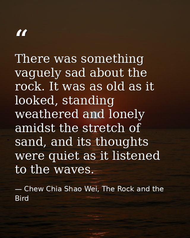 There was something vaguely sad about the rock. It was as old as it looked, standing weathered and lonely amidst the str — Chew Chia Shao Wei, The Rock and the Bird