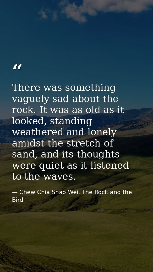 There was something vaguely sad about the rock. It was as old as it looked, standing weathered and lonely amidst the str — Chew Chia Shao Wei, The Rock and the Bird