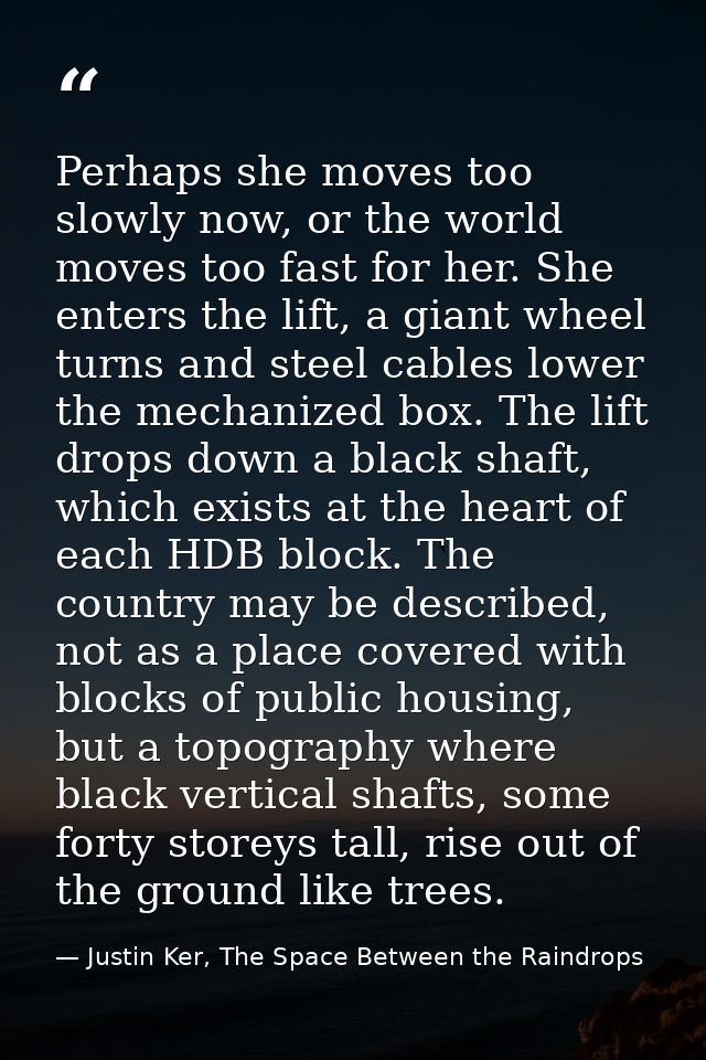 Perhaps she moves too slowly now, or the world moves too fast for her. She enters the lift, a giant wheel turns and stee — Justin Ker, The Space Between the Raindrops