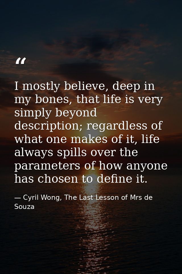 I mostly believe, deep in my bones, that life is very simply beyond description; regardless of what one makes of it, lif — Cyril Wong, The Last Lesson of Mrs de Souza