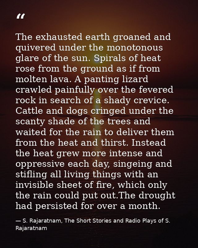 The exhausted earth groaned and quivered under the monotonous glare of the sun. Spirals of heat rose from the ground as  — S. Rajaratnam, The Short Stories and Radio Plays of S. Rajaratnam