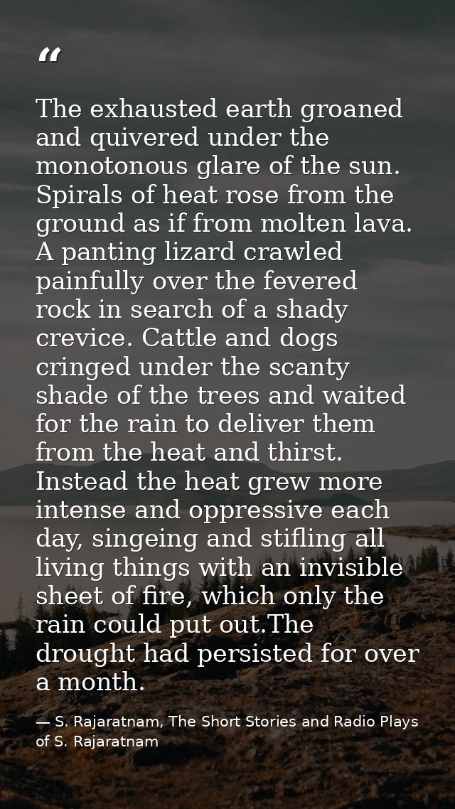 The exhausted earth groaned and quivered under the monotonous glare of the sun. Spirals of heat rose from the ground as  — S. Rajaratnam, The Short Stories and Radio Plays of S. Rajaratnam