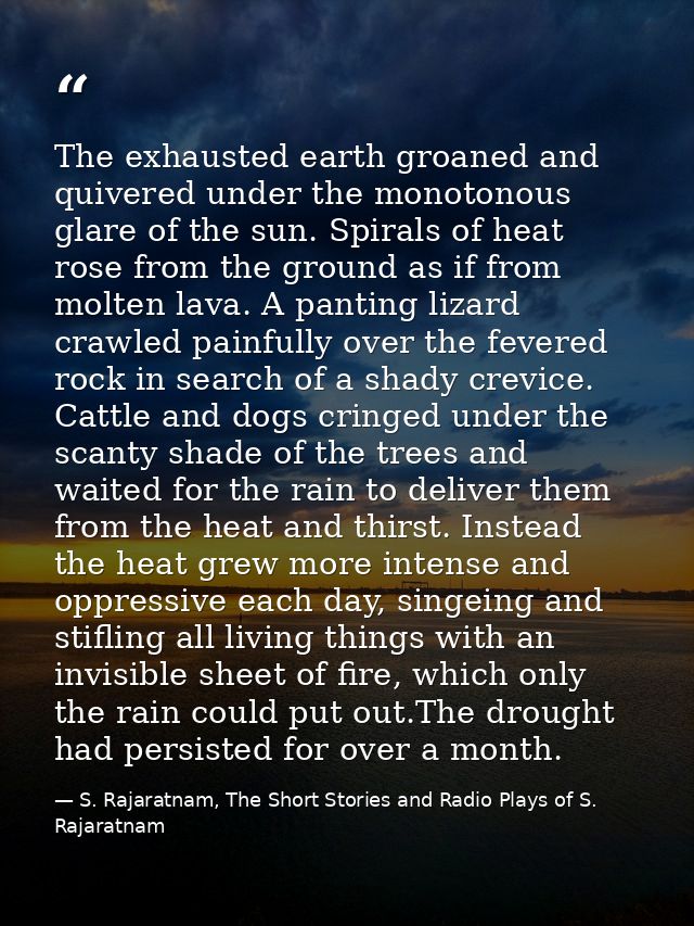 The exhausted earth groaned and quivered under the monotonous glare of the sun. Spirals of heat rose from the ground as  — S. Rajaratnam, The Short Stories and Radio Plays of S. Rajaratnam