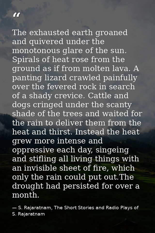 The exhausted earth groaned and quivered under the monotonous glare of the sun. Spirals of heat rose from the ground as  — S. Rajaratnam, The Short Stories and Radio Plays of S. Rajaratnam