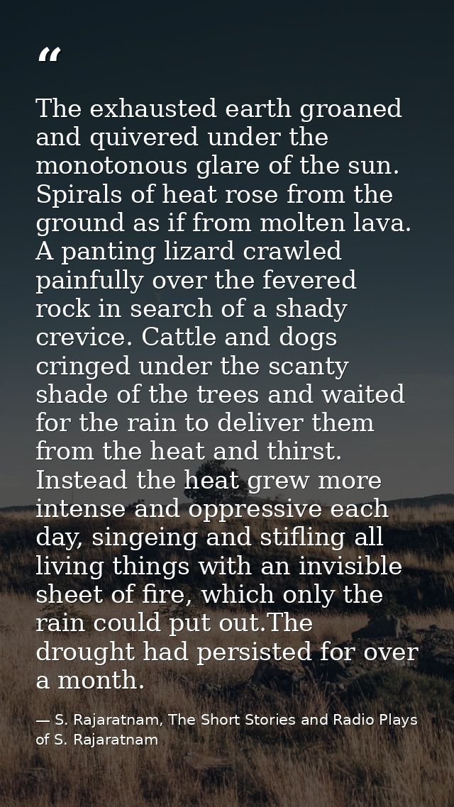 The exhausted earth groaned and quivered under the monotonous glare of the sun. Spirals of heat rose from the ground as  — S. Rajaratnam, The Short Stories and Radio Plays of S. Rajaratnam