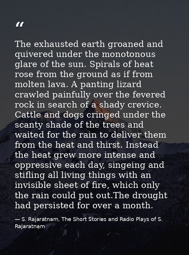 The exhausted earth groaned and quivered under the monotonous glare of the sun. Spirals of heat rose from the ground as  — S. Rajaratnam, The Short Stories and Radio Plays of S. Rajaratnam