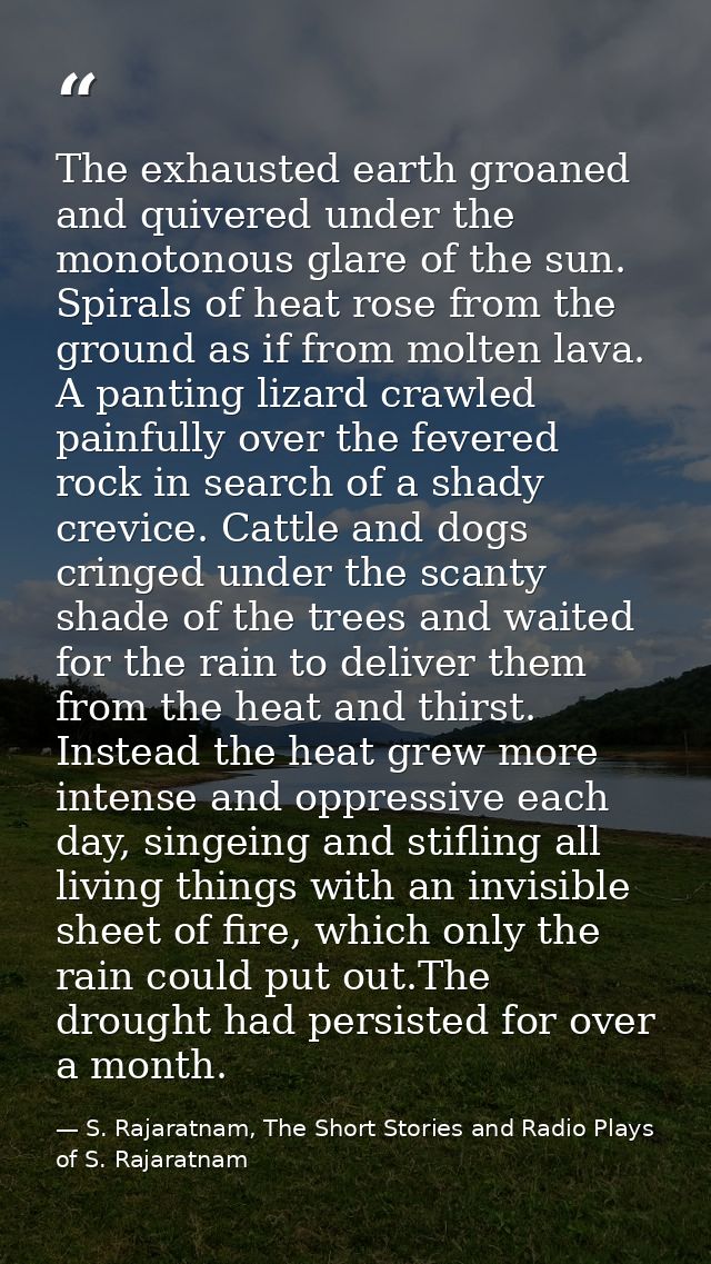 The exhausted earth groaned and quivered under the monotonous glare of the sun. Spirals of heat rose from the ground as  — S. Rajaratnam, The Short Stories and Radio Plays of S. Rajaratnam